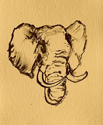 Wild Elephant Sketch Art Print