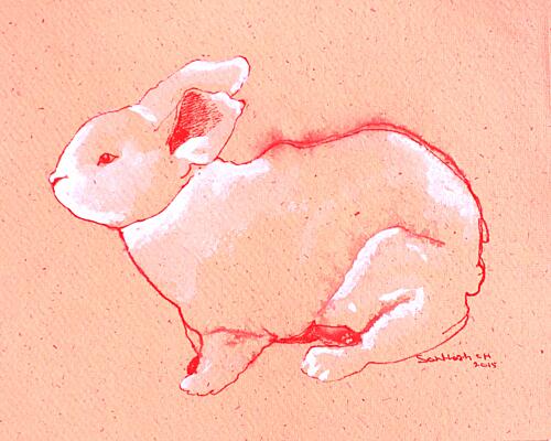 Sweet Little Rabbit Art Print
