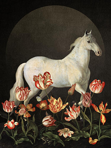 White Horse in Bloom Art Print