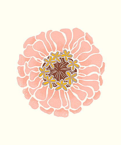 Pink Zinnia Bloom Art Print