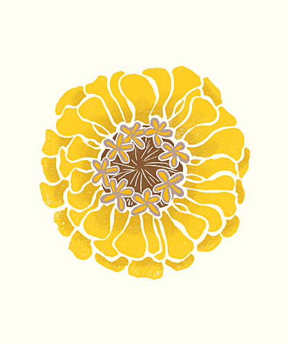 Sunny Yellow Bloom Art Print