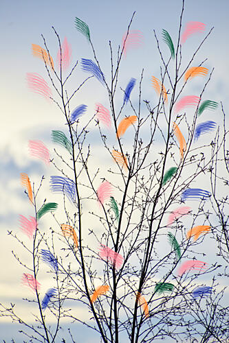 Colorful Spring Branches Art Print