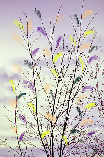 Colorful Spring Branches Art Print
