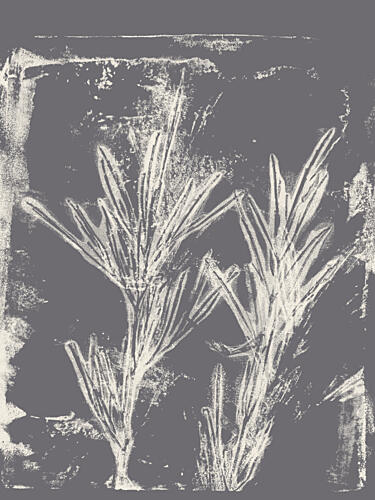 Delicate Plant Branches Art Print