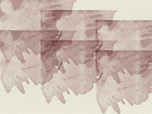 Layered Autumn Leaves Art Print