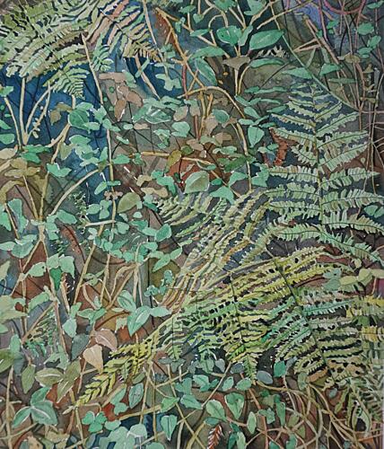 Lush Forest Ferns Art Print