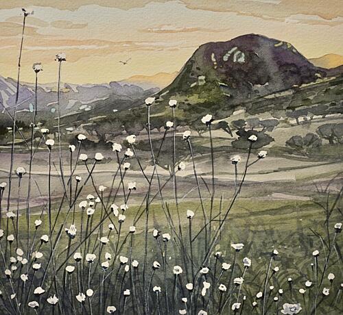Golden Sky Wildflowers Gold Print