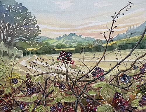 Ripe Blackberries Landscape Art Print