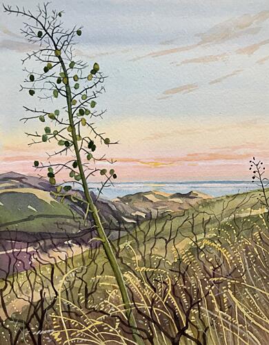 Coastal Plant Sunset View Art Print