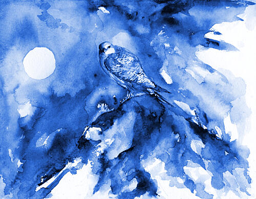 Moonlit Blue Falcon Art Print