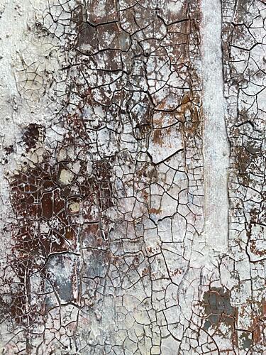 Fragment 8 Art Print by Gabriela Aleksandra Szuba