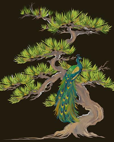 Peacock on Pine Branch Art Print
