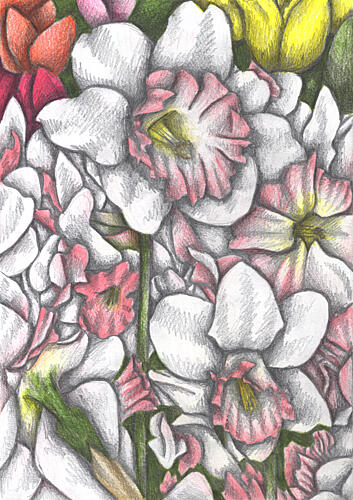 Vibrant Garden Blooms Art Print