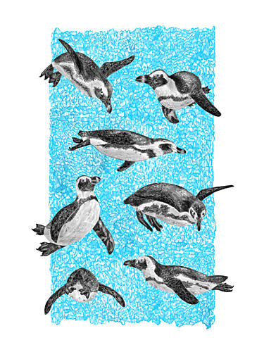 Underwater Penguins Art Print