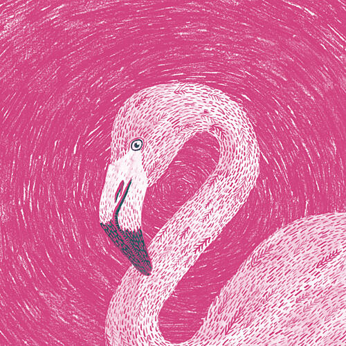 Elegant Pink Flamingo Art Print by Martina Scott