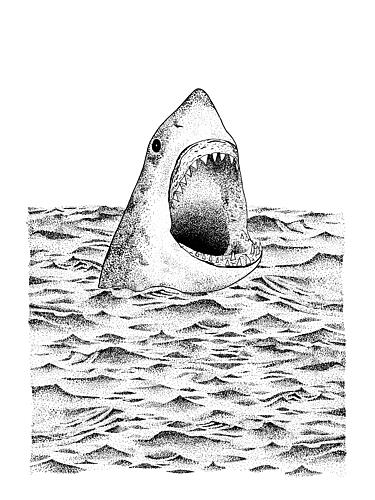 Great White Shark Ocean Art Print by Martina Scott
