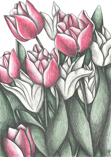 Vibrant Tulip Garden Art Print