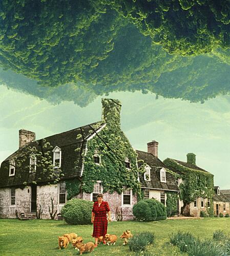 Upside Down Forest Home Art Print