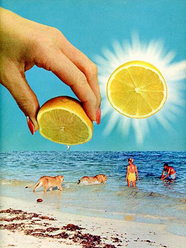 Lemon Sun Lions Beach Art Print