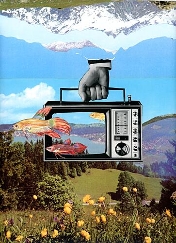 Surreal Fish Tv Landscape Art Print