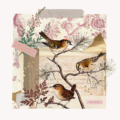 Rustic Bird Collage Gold Print