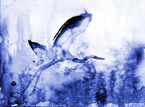 Graceful Blue Heron Art Print