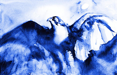 Soaring Blue Falcon Art Print