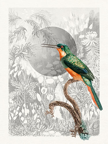 Tropical Green Jacamar Art Print