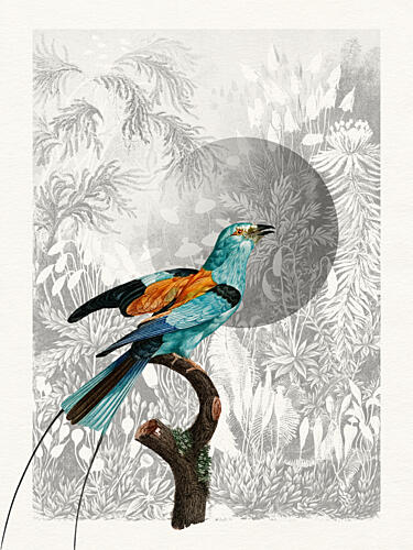Moonlit Jungle Bird Art Print