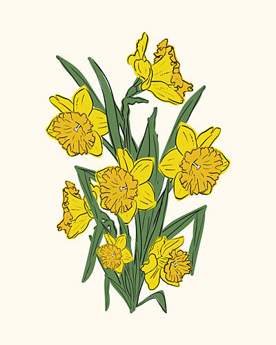 Bright Yellow Daffodils Art Print by Sonia Pal