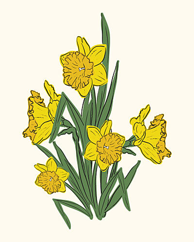 Vibrant Yellow Daffodils Art Print by Sonia Pal