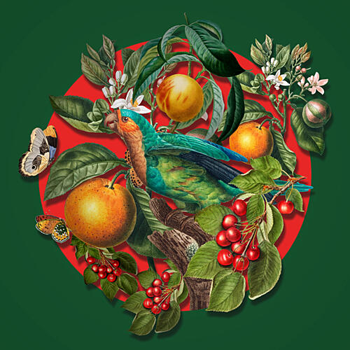 Vibrant Tropical Bird Fruits Art Print