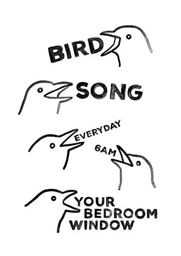 Bird Song 6 Am Art Print by Martina Scott