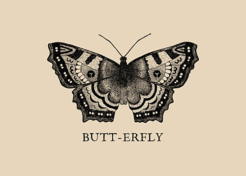 Witty Butt-erfly Drawing Art Print