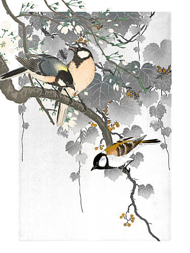 Japanese Birds on Branch Art Print