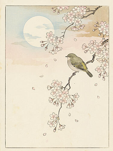 Spring Moon Bird Blossoms Art Print