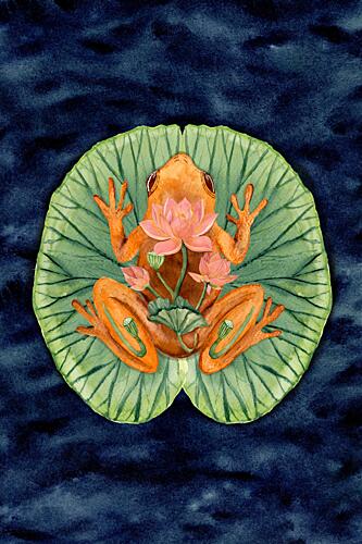 Orange Frog on Lily Pad Art Print