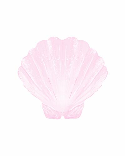 Soft Pink Scallop Art Print