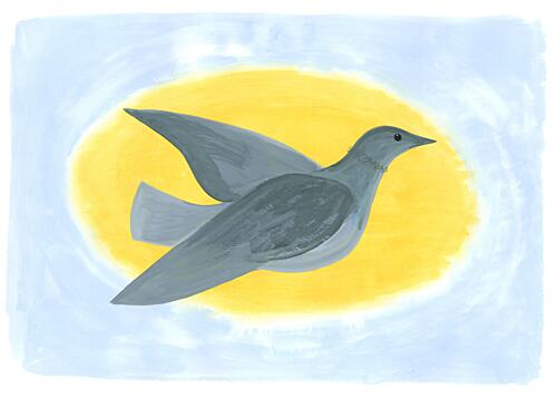 Grey Bird Art Print