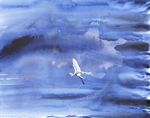 White Egret Blue Sky Art Print