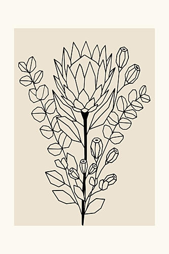 Minimalist Protea Eucalyptus Art Print by Cartissi