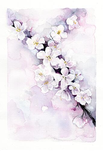 Delicate Blossom Branch Art Print