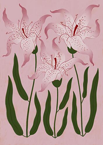 Botanical Pink Lilies Art Print by Ida Alvarsson