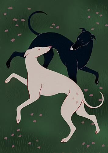 Elegant Greyhound Pair Art Print by Ida Alvarsson