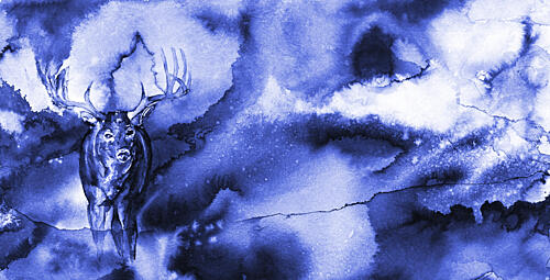 Mystical Blue Deer Art Print