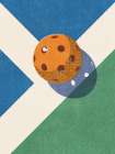 Dc 100200803 Balls 008 Pickleball 2a Print Art Print