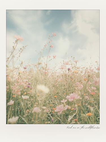 Dreamy Wildflower Field Art Print