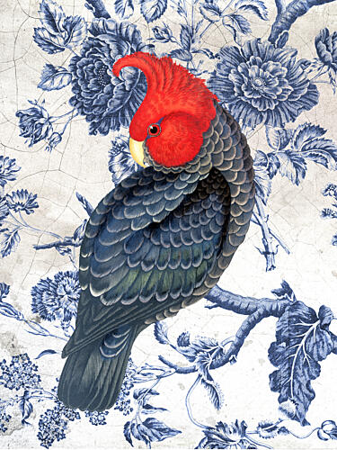 Red Cockatoo Chinoiserie Art Print