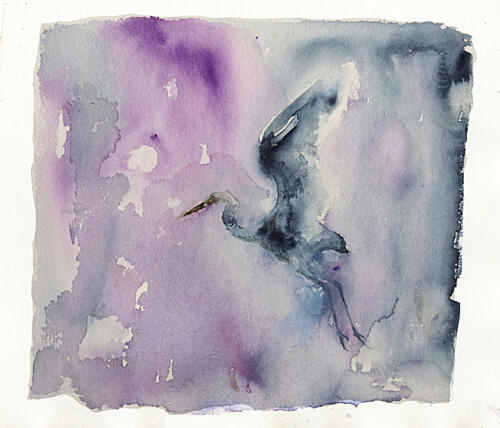 Purple Heron Flight Art Print