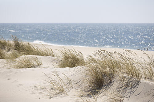 Serene Beach Dunes Art Print